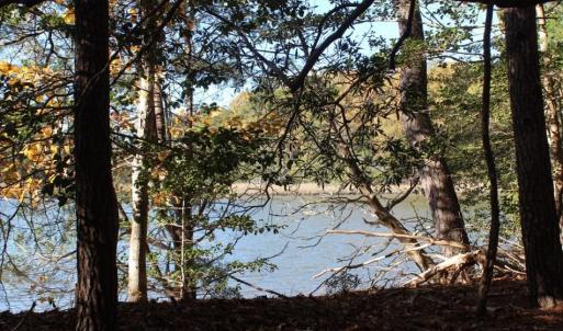 Photo of UNDER CONTRACT!  12.7 Acres of Residential Hunting Land For Sale in Isle of Wight County VA!