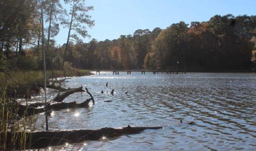 Photo of UNDER CONTRACT!  12.7 Acres of Residential Hunting Land For Sale in Isle of Wight County VA!