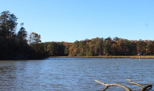 Photo of UNDER CONTRACT!  12.7 Acres of Residential Hunting Land For Sale in Isle of Wight County VA!