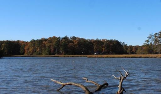 Photo of UNDER CONTRACT!  12.7 Acres of Residential Hunting Land For Sale in Isle of Wight County VA!