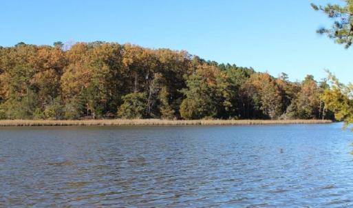 Photo of UNDER CONTRACT!  12.7 Acres of Residential Hunting Land For Sale in Isle of Wight County VA!