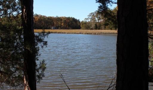 Photo of UNDER CONTRACT!  12.7 Acres of Residential Hunting Land For Sale in Isle of Wight County VA!