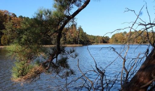 Photo of UNDER CONTRACT!  12.7 Acres of Residential Hunting Land For Sale in Isle of Wight County VA!