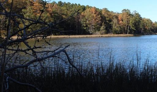 Photo of UNDER CONTRACT!  12.7 Acres of Residential Hunting Land For Sale in Isle of Wight County VA!