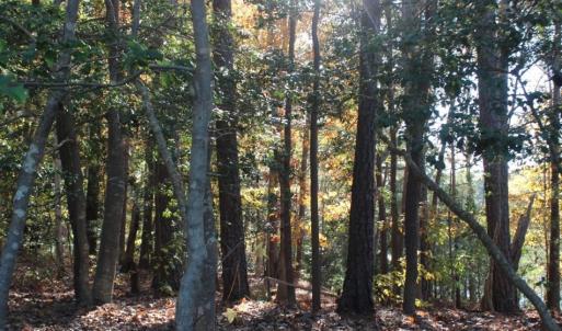 Photo of UNDER CONTRACT!  12.7 Acres of Residential Hunting Land For Sale in Isle of Wight County VA!