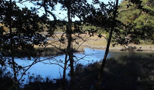 Photo of UNDER CONTRACT!  12.7 Acres of Residential Hunting Land For Sale in Isle of Wight County VA!