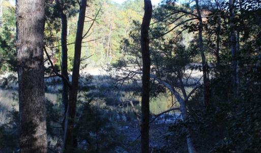 Photo of UNDER CONTRACT!  12.7 Acres of Residential Hunting Land For Sale in Isle of Wight County VA!