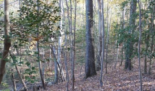 Photo of UNDER CONTRACT!  12.7 Acres of Residential Hunting Land For Sale in Isle of Wight County VA!