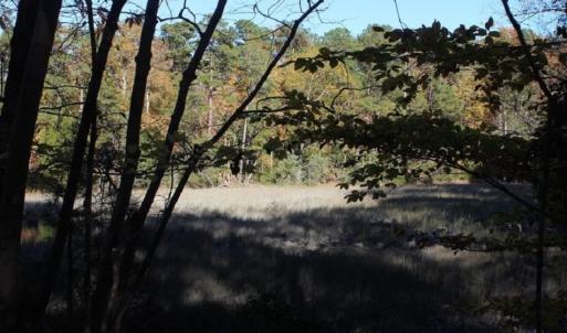 Photo of UNDER CONTRACT!  12.7 Acres of Residential Hunting Land For Sale in Isle of Wight County VA!