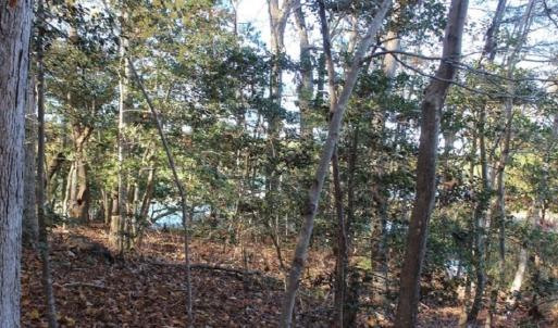 Photo of UNDER CONTRACT!  12.7 Acres of Residential Hunting Land For Sale in Isle of Wight County VA!