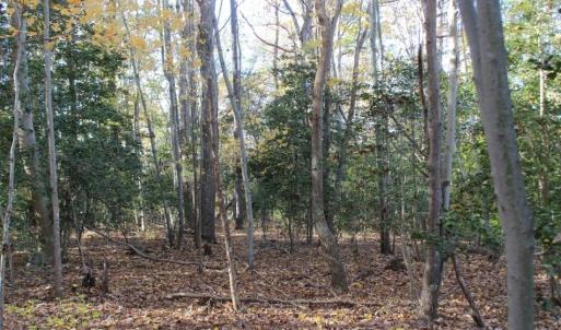 Photo of UNDER CONTRACT!  12.7 Acres of Residential Hunting Land For Sale in Isle of Wight County VA!
