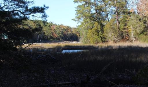 Photo of UNDER CONTRACT!  12.7 Acres of Residential Hunting Land For Sale in Isle of Wight County VA!