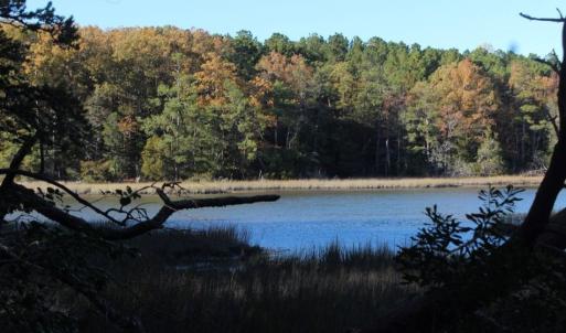 Photo of UNDER CONTRACT!  12.7 Acres of Residential Hunting Land For Sale in Isle of Wight County VA!