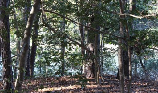 Photo of UNDER CONTRACT!  12.7 Acres of Residential Hunting Land For Sale in Isle of Wight County VA!
