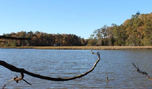 Photo of UNDER CONTRACT!  12.7 Acres of Residential Hunting Land For Sale in Isle of Wight County VA!