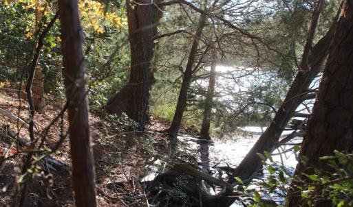 Photo of UNDER CONTRACT!  12.7 Acres of Residential Hunting Land For Sale in Isle of Wight County VA!