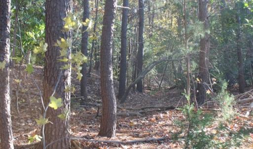 Photo of UNDER CONTRACT!  12.7 Acres of Residential Hunting Land For Sale in Isle of Wight County VA!
