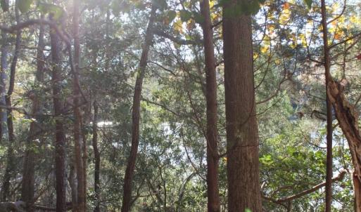 Photo of UNDER CONTRACT!  12.7 Acres of Residential Hunting Land For Sale in Isle of Wight County VA!