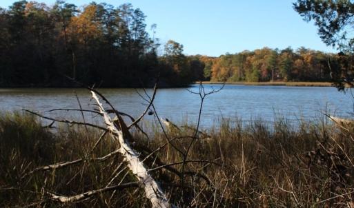 Photo of UNDER CONTRACT!  12.7 Acres of Residential Hunting Land For Sale in Isle of Wight County VA!