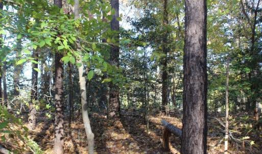 Photo of UNDER CONTRACT!  12.7 Acres of Residential Hunting Land For Sale in Isle of Wight County VA!