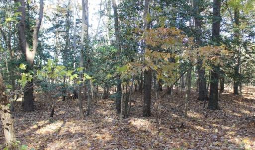 Photo of UNDER CONTRACT!  12.7 Acres of Residential Hunting Land For Sale in Isle of Wight County VA!
