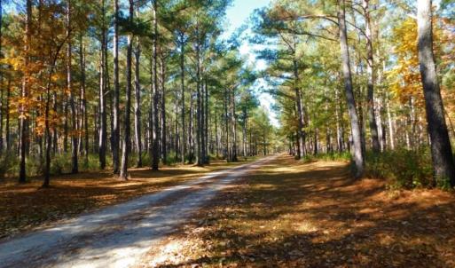Photo of UNDER CONTRACT!  196.4 Acres of Residential and Timber Land For Sale in Edgecombe County NC!