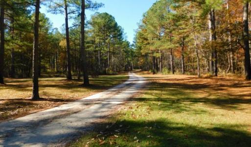 Photo of UNDER CONTRACT!  196.4 Acres of Residential and Timber Land For Sale in Edgecombe County NC!
