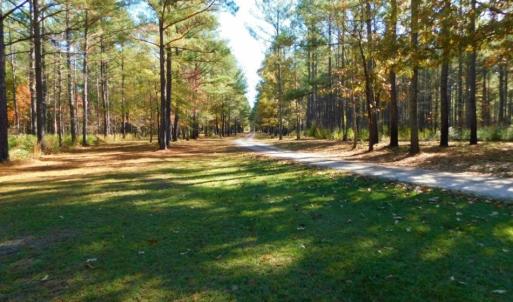 Photo of UNDER CONTRACT!  196.4 Acres of Residential and Timber Land For Sale in Edgecombe County NC!