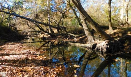 Photo of UNDER CONTRACT!  196.4 Acres of Residential and Timber Land For Sale in Edgecombe County NC!