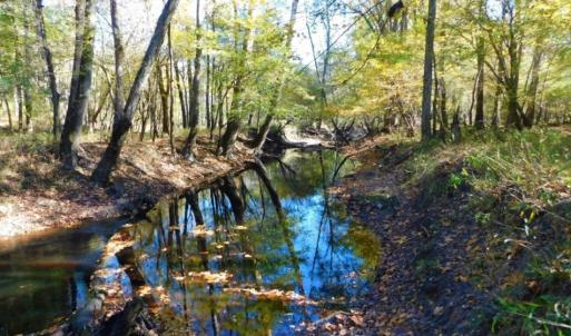 Photo of UNDER CONTRACT!  196.4 Acres of Residential and Timber Land For Sale in Edgecombe County NC!