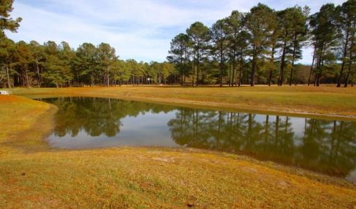 Photo of UNDER CONTRACT!  196.4 Acres of Residential and Timber Land For Sale in Edgecombe County NC!