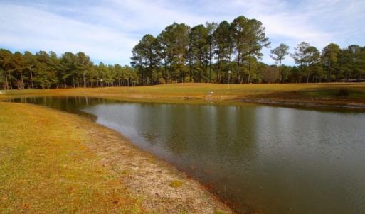 Photo of UNDER CONTRACT!  196.4 Acres of Residential and Timber Land For Sale in Edgecombe County NC!