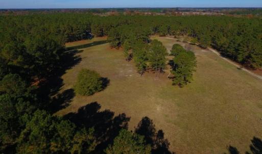 Photo of UNDER CONTRACT!  196.4 Acres of Residential and Timber Land For Sale in Edgecombe County NC!
