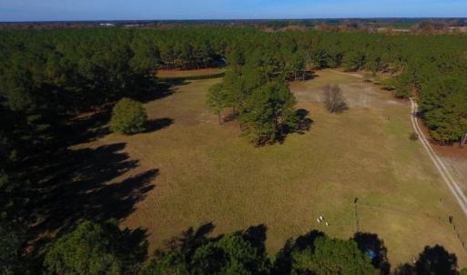 Photo of UNDER CONTRACT!  196.4 Acres of Residential and Timber Land For Sale in Edgecombe County NC!