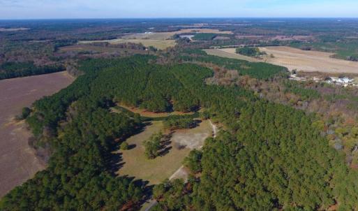 Photo of UNDER CONTRACT!  196.4 Acres of Residential and Timber Land For Sale in Edgecombe County NC!