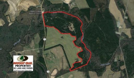 Photo of UNDER CONTRACT!  196.4 Acres of Residential and Timber Land For Sale in Edgecombe County NC!