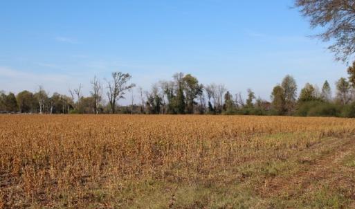 Photo of SOLD!  6.6 Acres of Farm and Hunting Land For Sale in Sampson County NC!