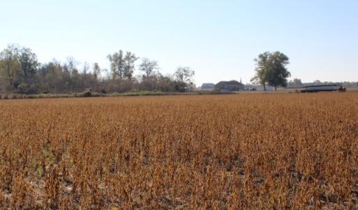 Photo of SOLD!  6.6 Acres of Farm and Hunting Land For Sale in Sampson County NC!
