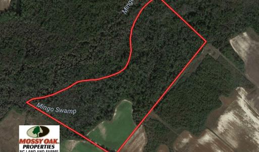 Photo of SOLD!  65 Acres of Hunting and Farm Land For Sale in Sampson County NC!