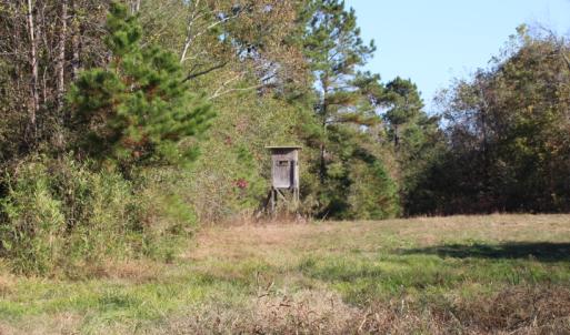 Photo of SOLD!  65 Acres of Hunting and Farm Land For Sale in Sampson County NC!