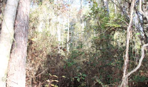 Photo of SOLD!  65 Acres of Hunting and Farm Land For Sale in Sampson County NC!