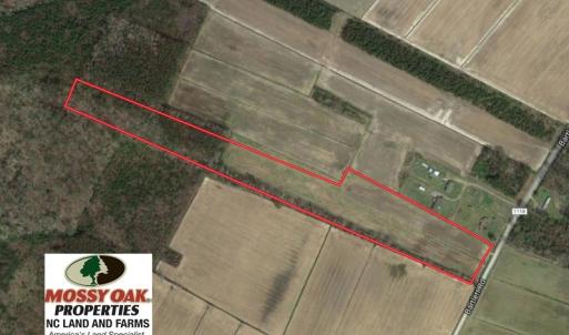 Photo of SOLD!  13 Acres of Farm and Timber Land For Sale in Camden County NC!