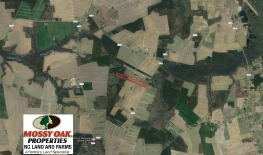 Photo of SOLD!  13 Acres of Farm and Timber Land For Sale in Camden County NC!