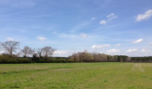 Photo of SOLD!  13 Acres of Farm and Timber Land For Sale in Camden County NC!