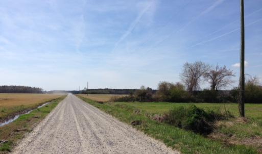 Photo of SOLD!  13 Acres of Farm and Timber Land For Sale in Camden County NC!