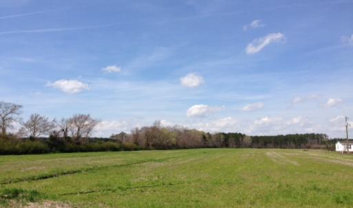 Photo of SOLD!  13 Acres of Farm and Timber Land For Sale in Camden County NC!