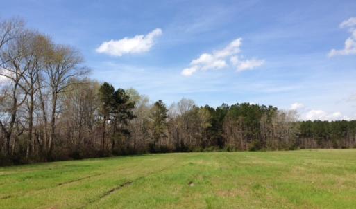 Photo of SOLD!  13 Acres of Farm and Timber Land For Sale in Camden County NC!