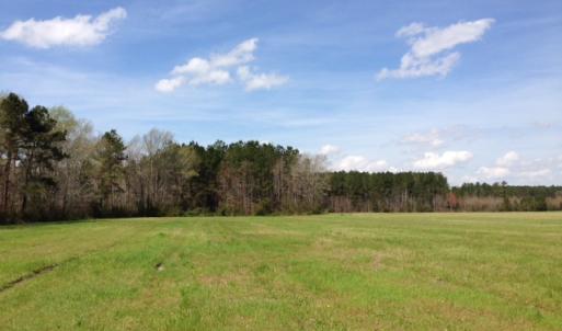 Photo of SOLD!  13 Acres of Farm and Timber Land For Sale in Camden County NC!