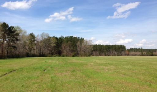Photo of SOLD!  13 Acres of Farm and Timber Land For Sale in Camden County NC!