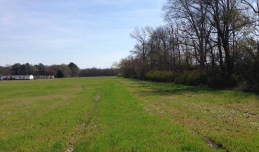 Photo of SOLD!  13 Acres of Farm and Timber Land For Sale in Camden County NC!
